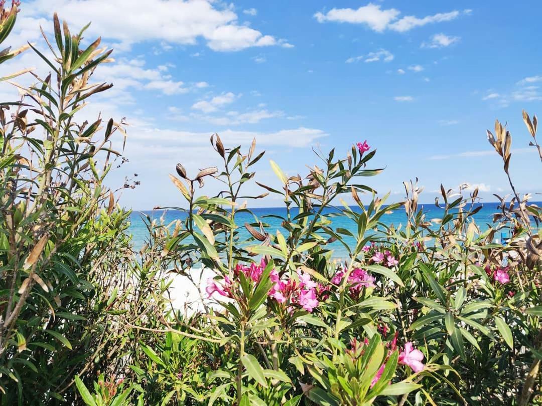 Overlookingsea Lido di Noto Luaran gambar